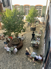 FOR ART Café-Bar, Rittergasse 21, Basel FOR ART Café-Bar, Rittergasse 21, Basel