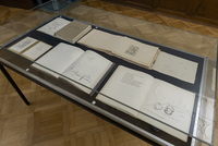 traducción no disponible – Ausstellungsansicht traducción no disponible – Ausstellungsansicht