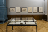 traducción no disponible – Ausstellungsansicht traducción no disponible – Ausstellungsansicht