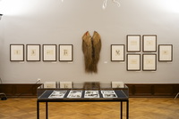 traducción no disponible – Ausstellungsansicht FOR ART "Zeichnerinnen des Inventars", Basel. Foto: Serkan Deniz